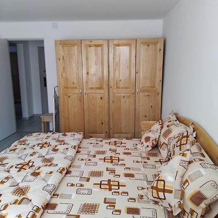 Apartament Rusu Nehoiu Exterior foto